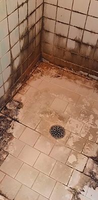 Shower tiles before cleaning, with mould and heavy staining